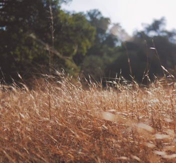 爱游戏ayx官网下载-官方：原诺丁汉森林后卫托福洛自由身加盟美职联夏洛特