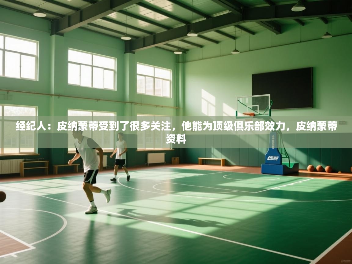 爱游戏影视-经纪人:皮纳蒙蒂受到了很多关注,他能为顶级俱乐部效力,皮纳蒙蒂资料 第1张