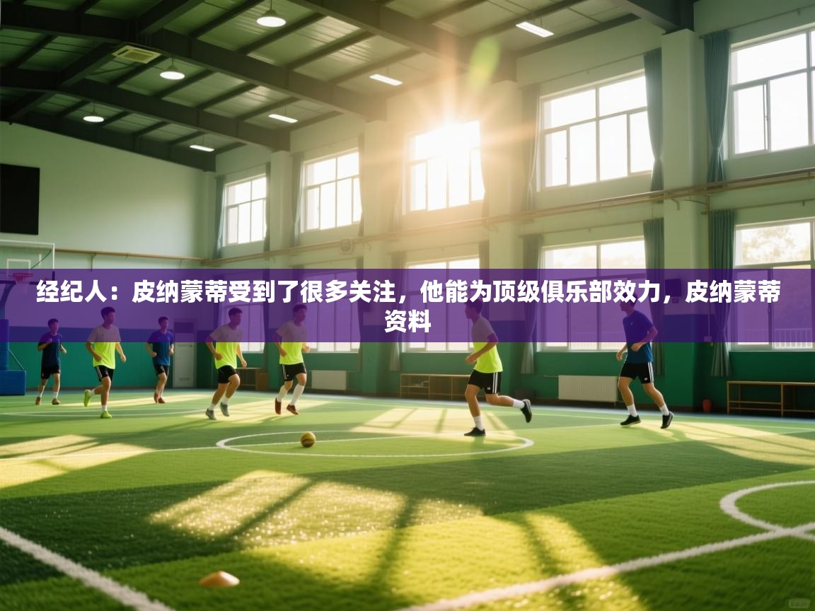 爱游戏影视-经纪人:皮纳蒙蒂受到了很多关注,他能为顶级俱乐部效力,皮纳蒙蒂资料 第2张