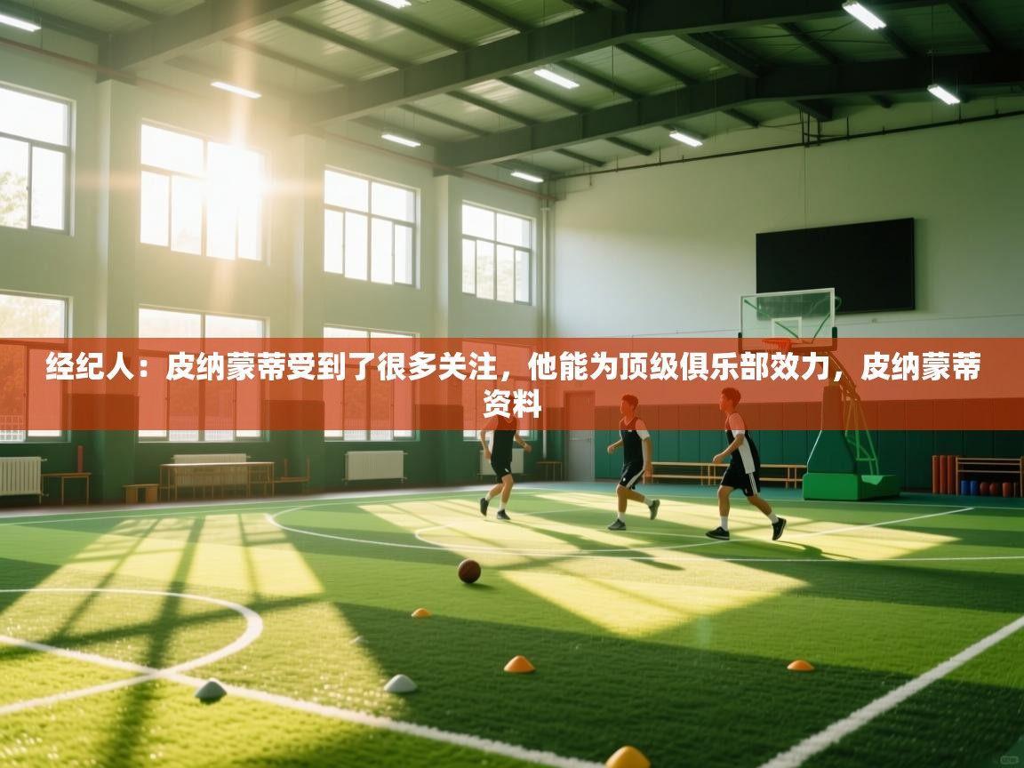 爱游戏影视-经纪人:皮纳蒙蒂受到了很多关注,他能为顶级俱乐部效力,皮纳蒙蒂资料 第3张