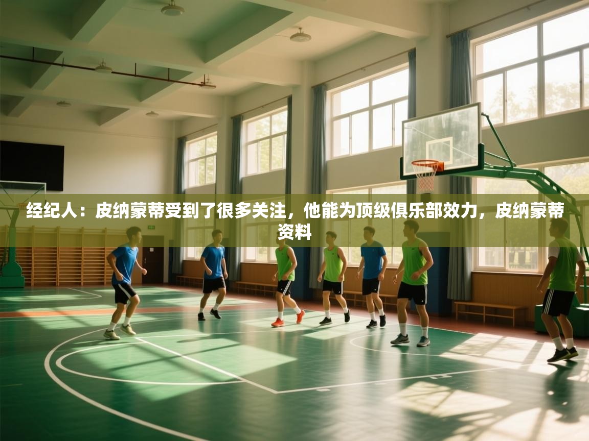 爱游戏影视-经纪人:皮纳蒙蒂受到了很多关注,他能为顶级俱乐部效力,皮纳蒙蒂资料 第4张