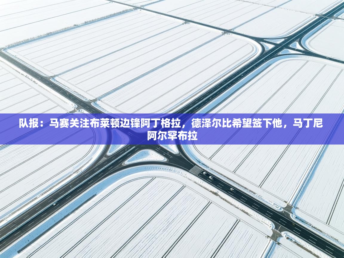 爱体育游戏网站-队报:马赛关注布莱顿边锋阿丁格拉,德泽尔比希望签下他,马丁尼 阿尔罕布拉 第2张