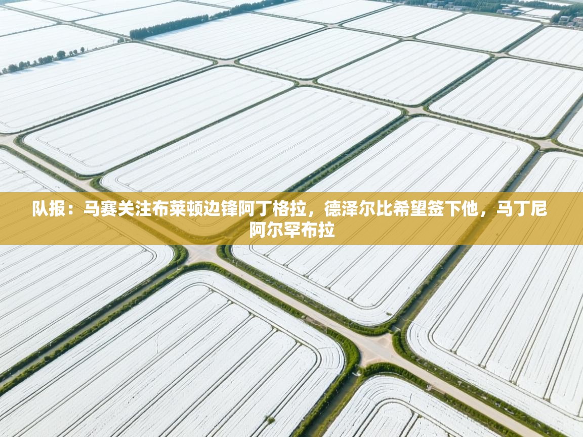 爱体育游戏网站-队报:马赛关注布莱顿边锋阿丁格拉,德泽尔比希望签下他,马丁尼 阿尔罕布拉 第4张