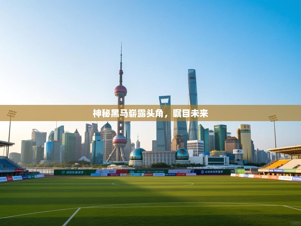 爱游戏在线官网-神秘黑马崭露头角，瞩目未来