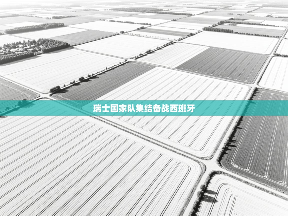 爱游戏体育-瑞士国家队集结备战西班牙 第2张