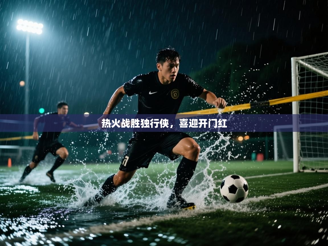 爱游戏直播-热火战胜独行侠，喜迎开门红  第4张