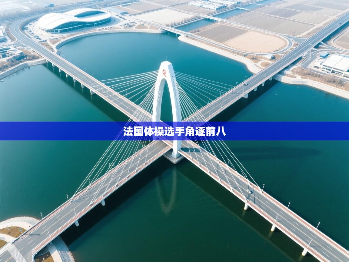 爱游戏体育娱乐赞助罗马-法国体操选手角逐前八 第3张