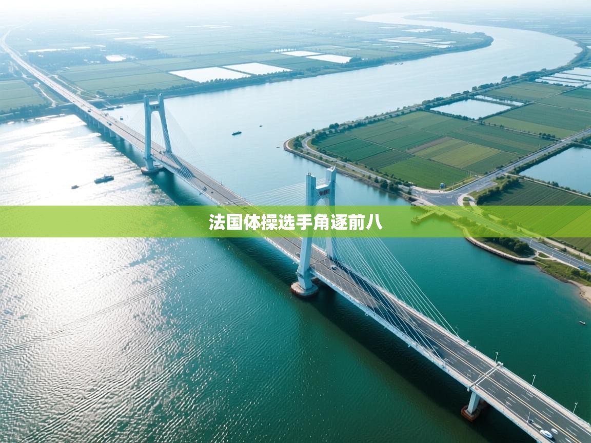 爱游戏体育娱乐赞助罗马-法国体操选手角逐前八 第4张