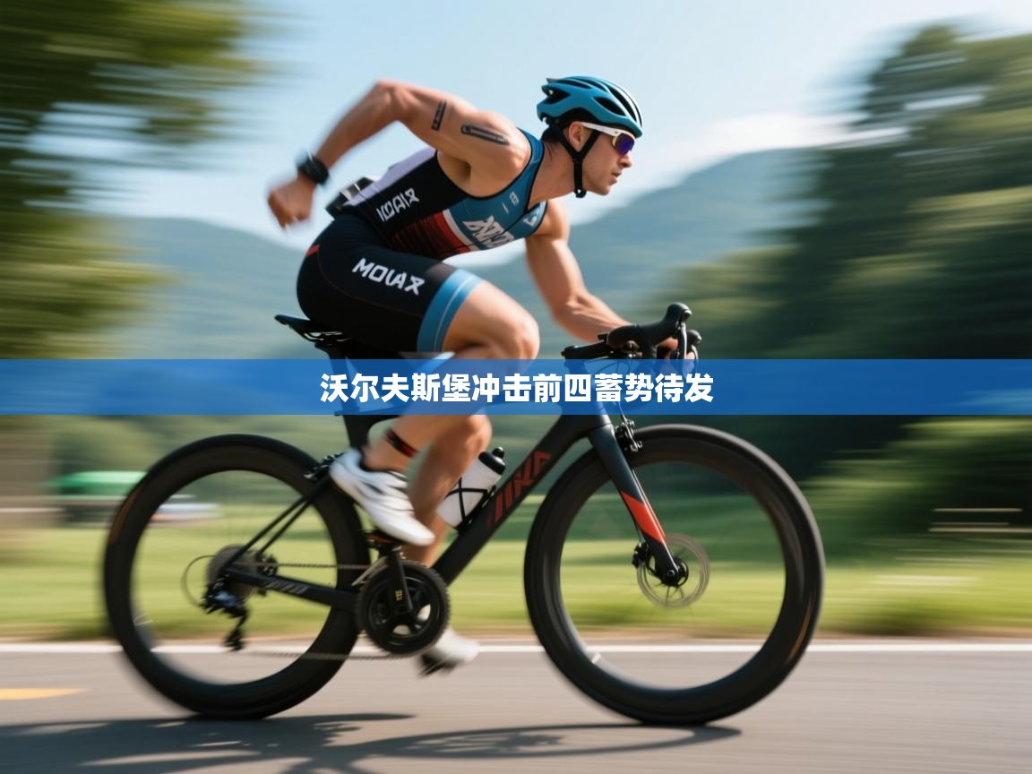 爱游戏体育app-沃尔夫斯堡冲击前四蓄势待发 第1张